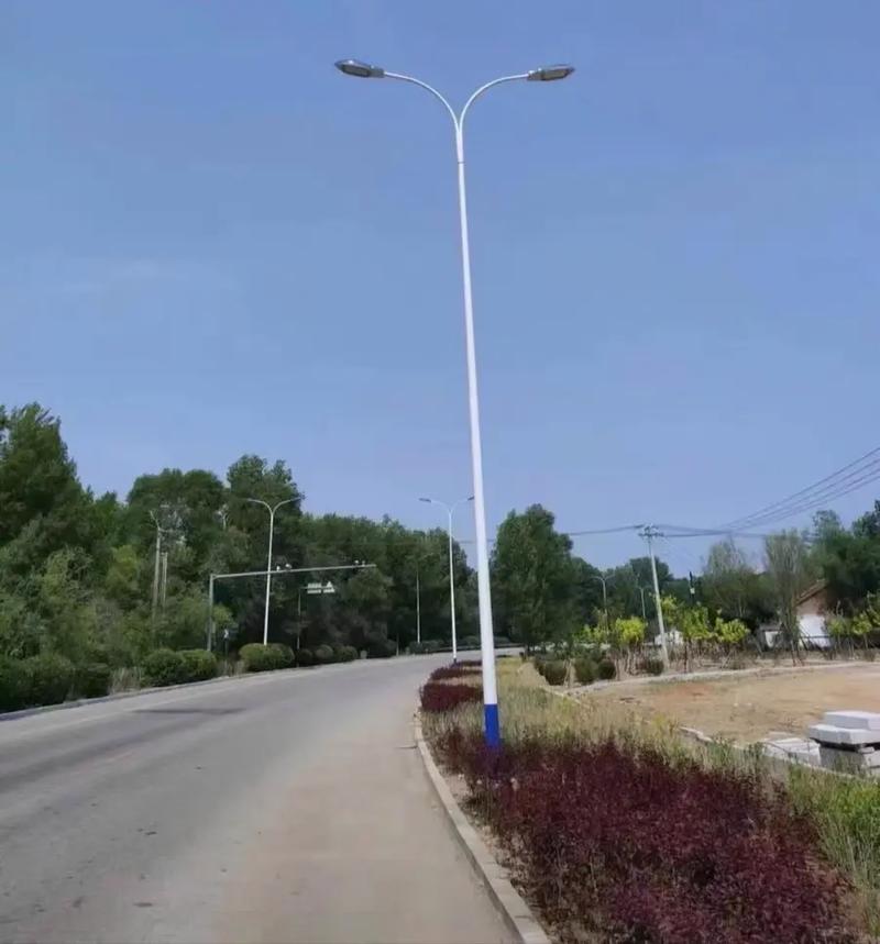監控立桿與路燈桿 工廠直銷的高質量選擇，服務熱線 18954366397